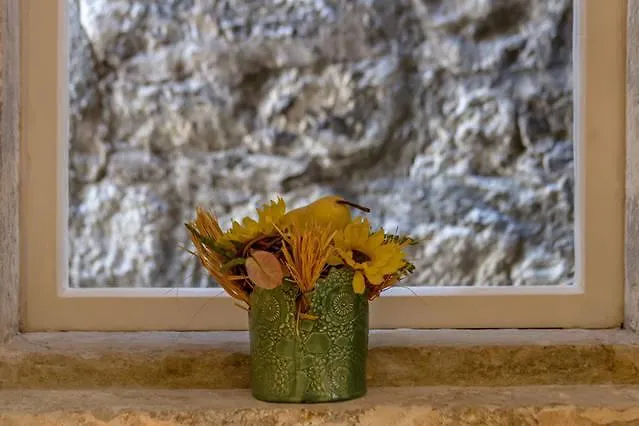 Apartment Emperor Oasis