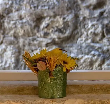 Apartman Emperor Oasis